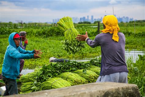 Workers in Calabarzon, Davao Region to get pay hikes — DOLE.